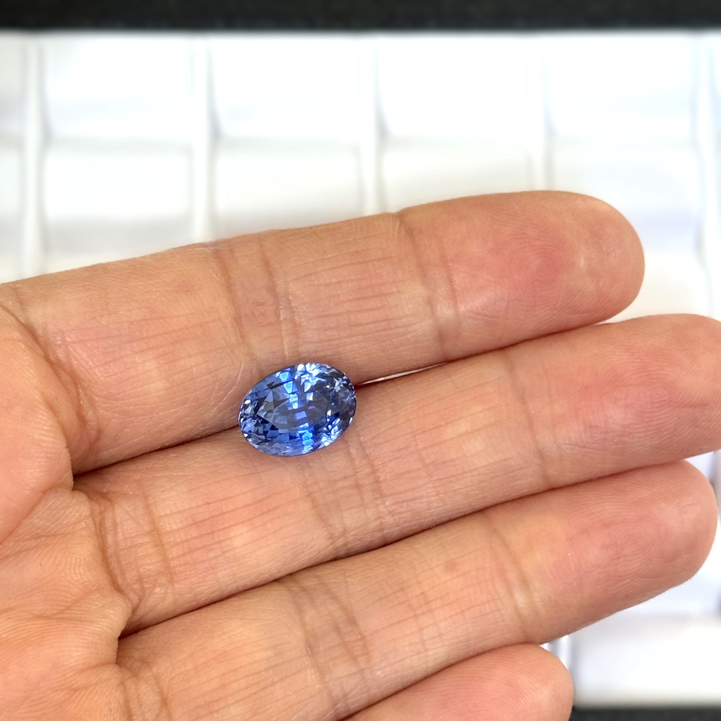 Blue Sapphire 6.53ct Oval